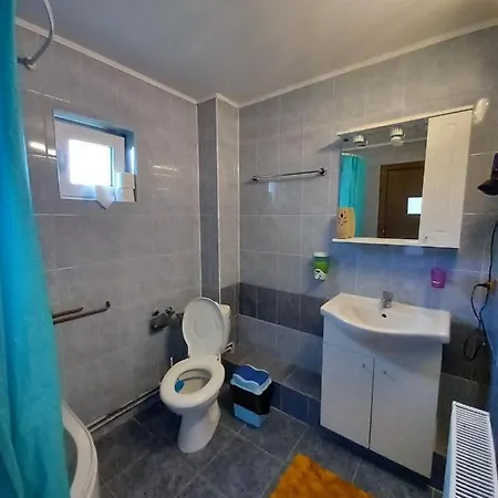 Casa Mihaela 坎普朗莫道尼斯