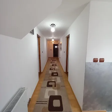 Casa Mihaela 民宿 *
